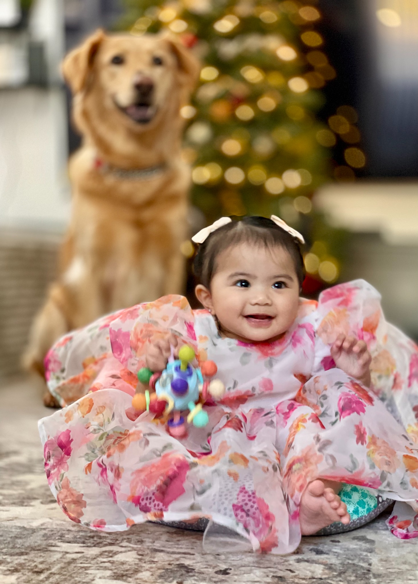 Christmas photoshoot with kona