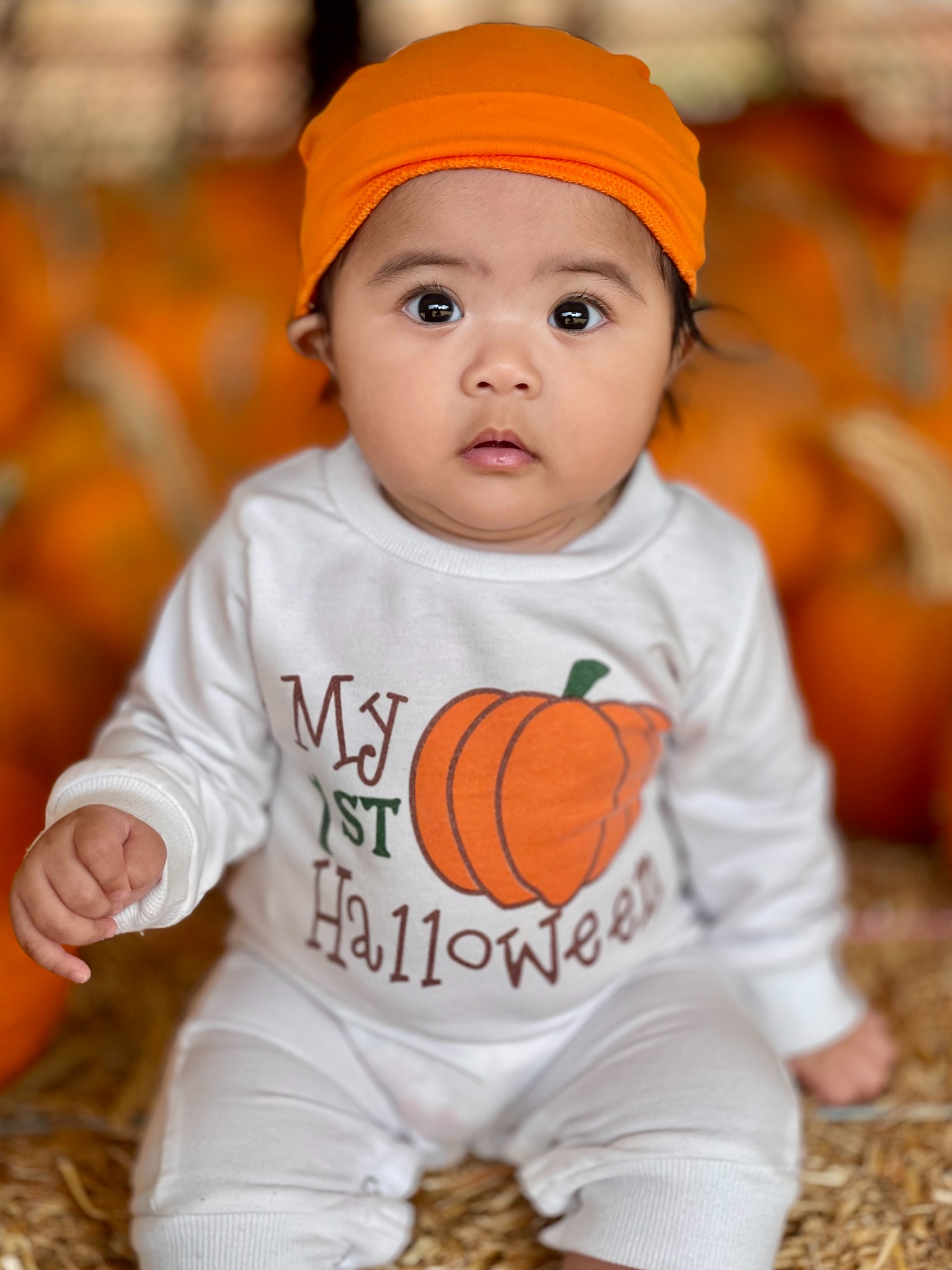 First pumpkin patch