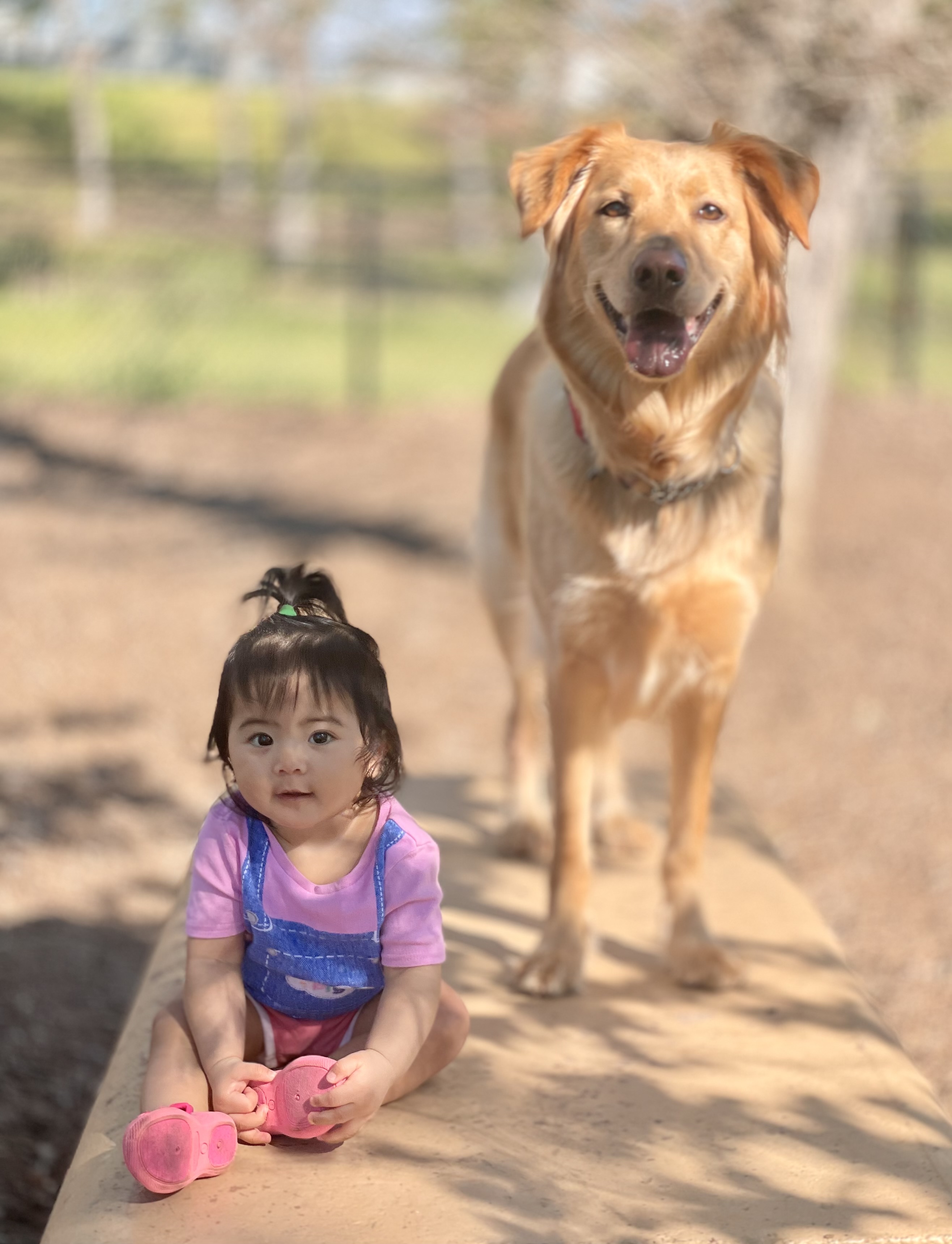 Playground moment with kona